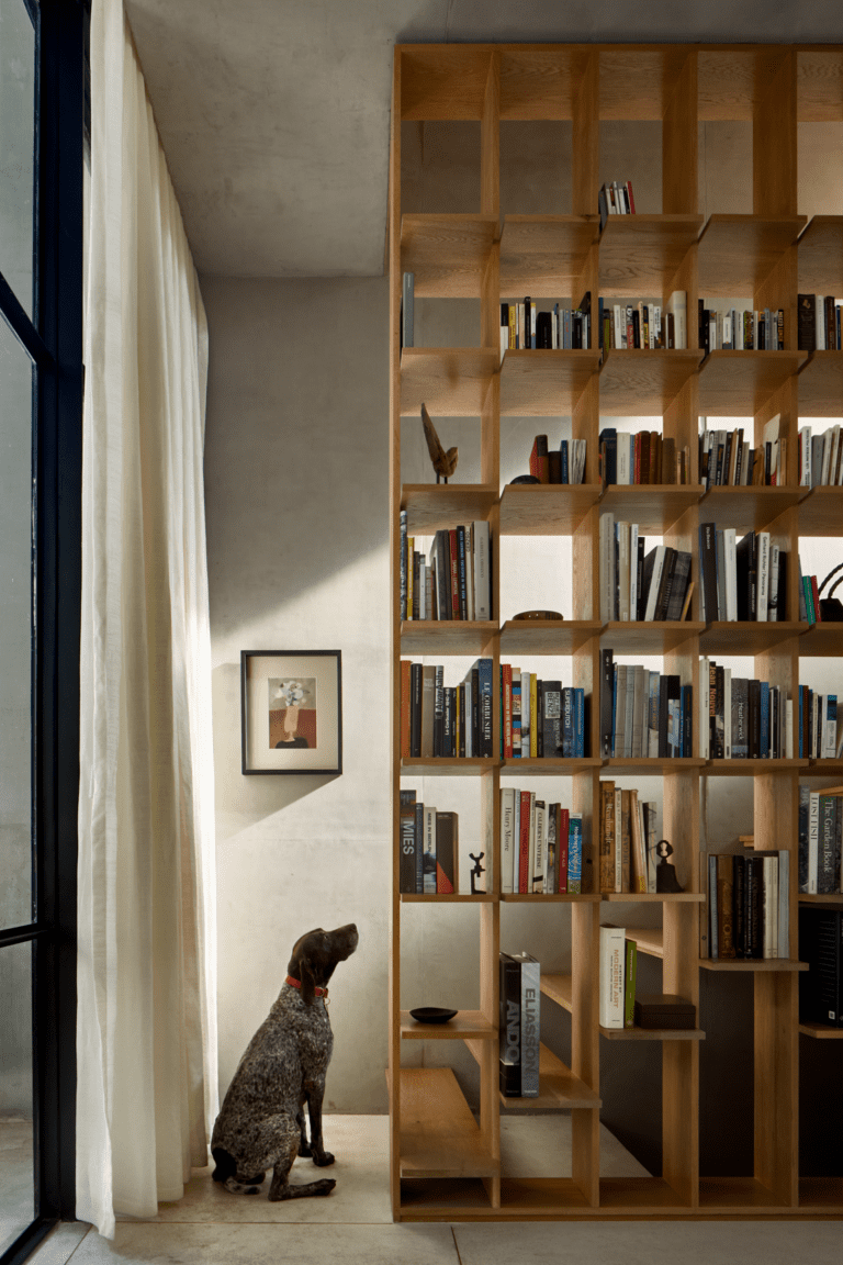 Transforma tu biblioteca en un espacio único con la iluminación ideal ...